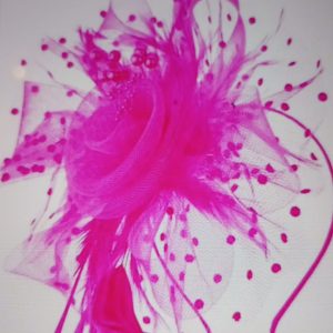 Feather Hair Band